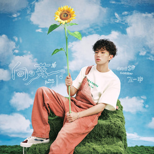 中文字幕在线网
