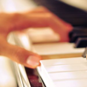 中文字幕在线网
