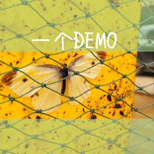 中文字幕在线网
